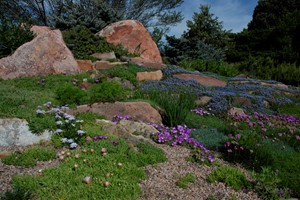 Rock Crevice Garden